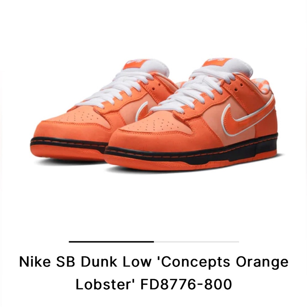 Nike Dunk 🦞 Sneaker 👟 size 7.5 men size 9 men